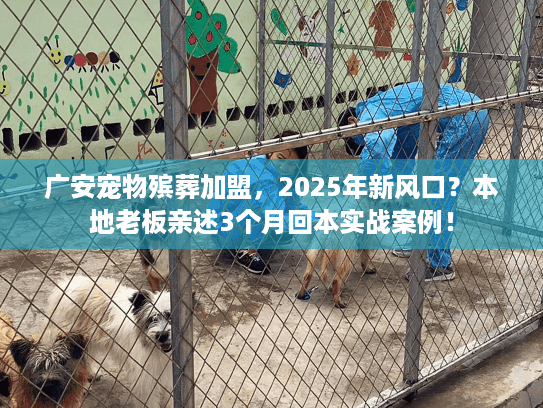 广安宠物殡葬加盟，2025年新风口？本地老板亲述3个月回本实战案例！