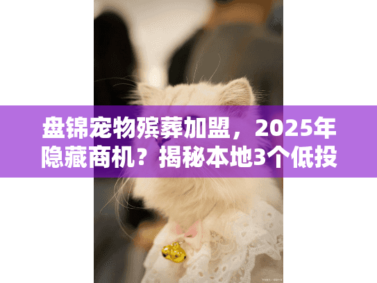 盘锦宠物殡葬加盟,2025年隐藏商机?揭秘本地3个低投入高口碑实战案例 盘锦宠物殡葬加盟,2025年隐藏商机?揭秘本地3个低投入高口碑实战案例