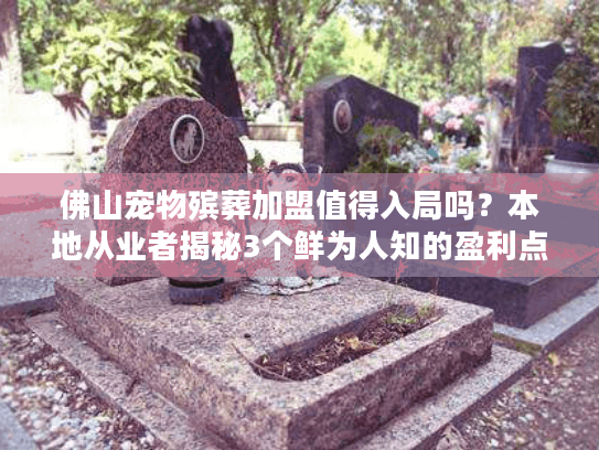 佛山宠物殡葬加盟值得入局吗？本地从业者揭秘3个鲜为人知的盈利点