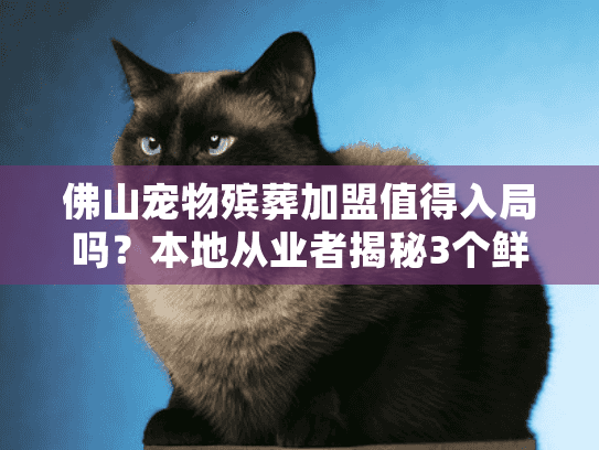 佛山宠物殡葬加盟值得入局吗？本地从业者揭秘3个鲜为人知的盈利点