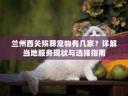 兰州西关殡葬宠物有几家？详解当地服务现状与选择指南