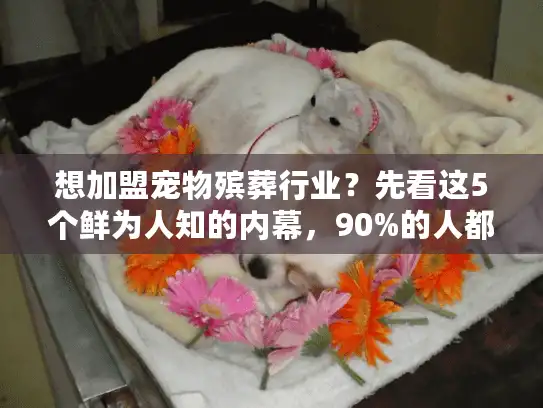 想加盟宠物殡葬行业？先看这5个鲜为人知的内幕，90%的人都踩过坑！
