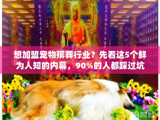 想加盟宠物殡葬行业？先看这5个鲜为人知的内幕，90%的人都踩过坑！