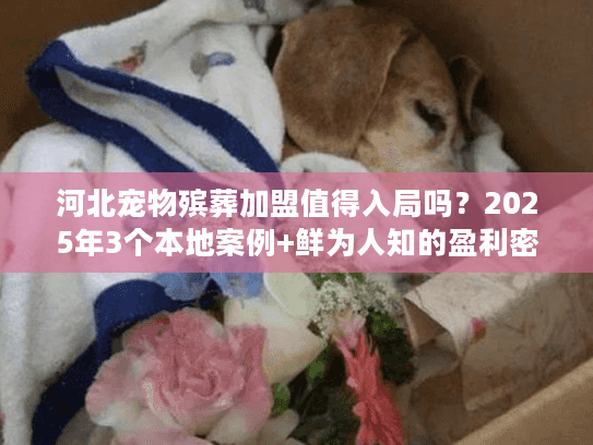 河北宠物殡葬加盟值得入局吗？2025年3个本地案例+鲜为人知的盈利密码