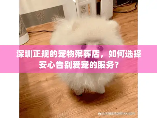 深圳正规的宠物殡葬店,如何选择安心告别爱宠的服务? 深圳正规的宠物殡葬店,如何选择安心告别爱宠的服务?