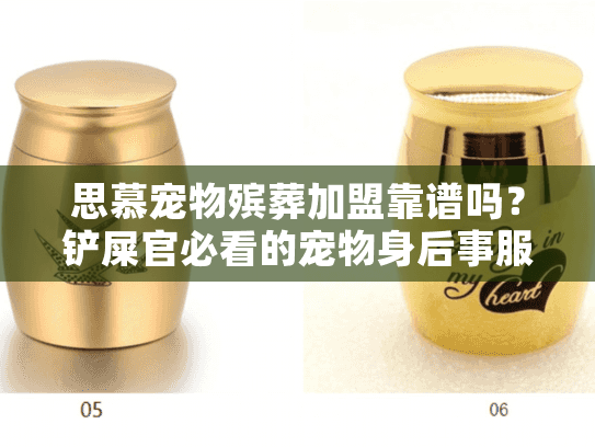 思慕宠物殡葬加盟靠谱吗？铲屎官必看的宠物身后事服务全解析