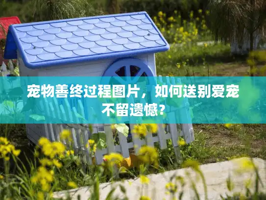 宠物善终过程图片，如何送别爱宠不留遗憾？
