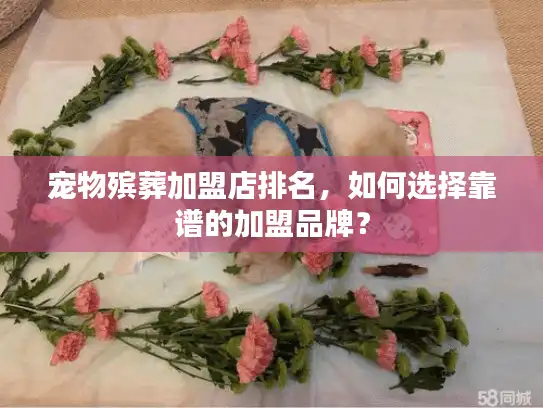宠物殡葬加盟店排名，如何选择靠谱的加盟品牌？