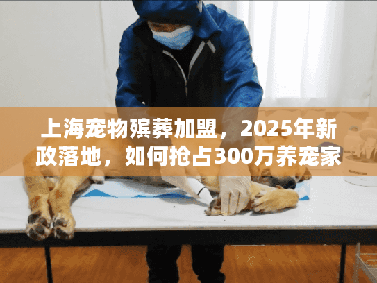 上海宠物殡葬加盟，2025年新政落地，如何抢占300万养宠家庭的刚需市场？