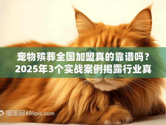 宠物殡葬全国加盟真的靠谱吗?2025年3个实战案例揭露行业真相 宠物殡葬全国加盟真的靠谱吗?2025年3个实战案例揭露行业真相