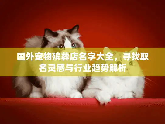 国外宠物殡葬店名字大全,寻找取名灵感与行业趋势解析 国外宠物殡葬店名字大全,寻找取名灵感与行业趋势解析