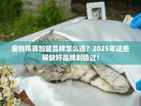宠物殡葬加盟品牌怎么选？2025年这些稀缺好品牌别错过！
