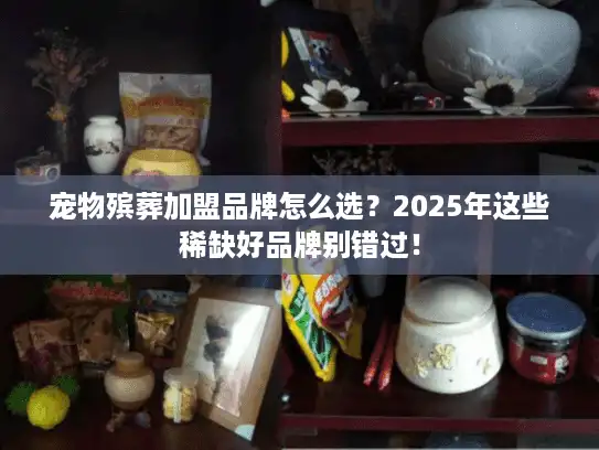 宠物殡葬加盟品牌怎么选？2025年这些稀缺好品牌别错过！