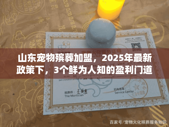 山东宠物殡葬加盟,2025年最新政策下,3个鲜为人知的盈利门道你知道吗? 山东宠物殡葬加盟,2025年最新政策下,3个鲜为人知的盈利门道你知道吗?