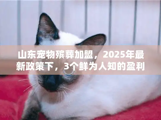山东宠物殡葬加盟,2025年最新政策下,3个鲜为人知的盈利门道你知道吗? 山东宠物殡葬加盟,2025年最新政策下,3个鲜为人知的盈利门道你知道吗?