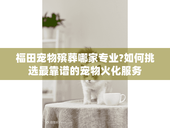 福田宠物殡葬哪家专业?如何挑选最靠谱的宠物火化服务 福田宠物殡葬哪家专业?如何挑选最靠谱的宠物火化服务