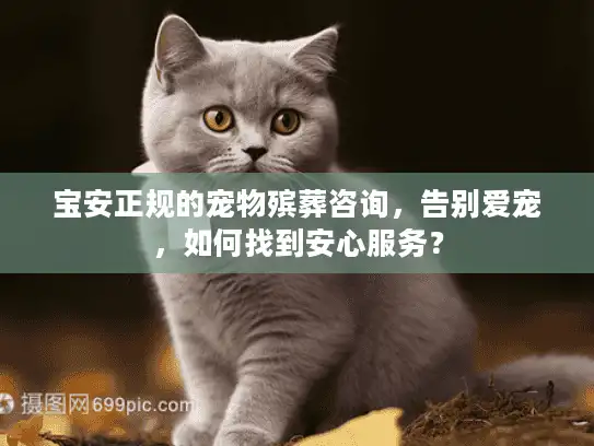 宝安正规的宠物殡葬咨询，告别爱宠，如何找到安心服务？