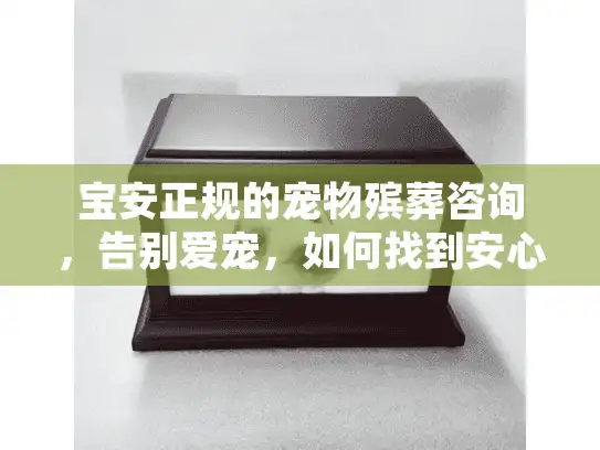 宝安正规的宠物殡葬咨询，告别爱宠，如何找到安心服务？