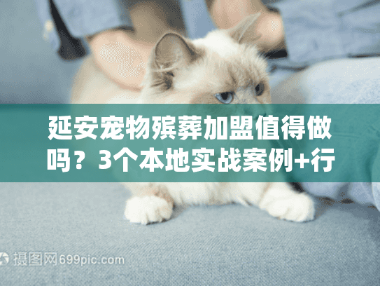 延安宠物殡葬加盟值得做吗？3个本地实战案例+行业隐藏门道全揭秘