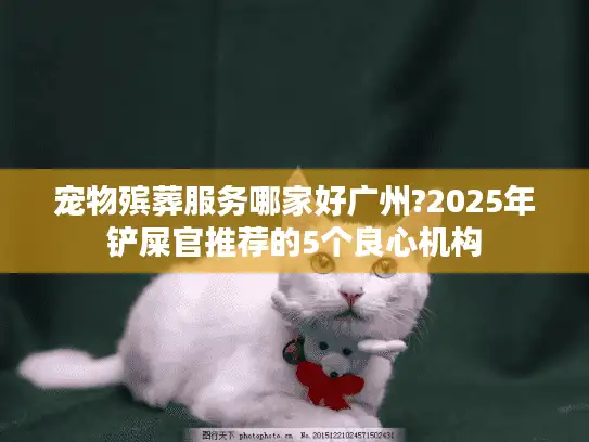 宠物殡葬服务哪家好广州?2025年铲屎官推荐的5个良心机构