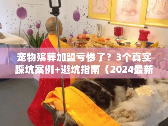 宠物殡葬加盟亏惨了？3个真实踩坑案例+避坑指南（2024最新）