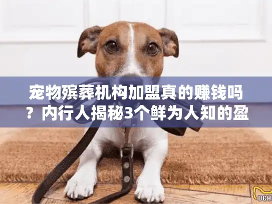 宠物殡葬机构加盟真的赚钱吗?内行人揭秘3个鲜为人知的盈利点 宠物殡葬机构加盟真的赚钱吗?内行人揭秘3个鲜为人知的盈利点