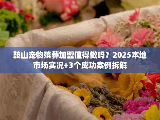 鞍山宠物殡葬加盟值得做吗?2025本地市场实况+3个成功案例拆解 鞍山宠物殡葬加盟值得做吗?2025本地市场实况+3个成功案例拆解