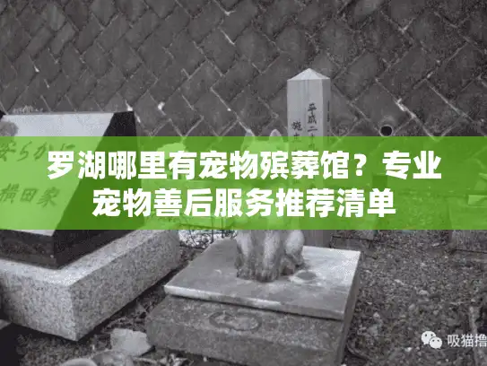 罗湖哪里有宠物殡葬馆？专业宠物善后服务推荐清单