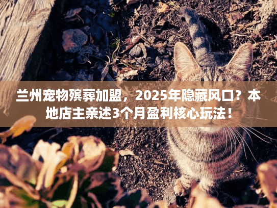 兰州宠物殡葬加盟，2025年隐藏风口？本地店主亲述3个月盈利核心玩法！