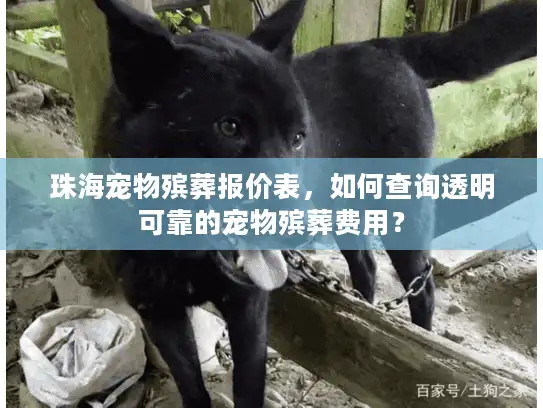 珠海宠物殡葬报价表，如何查询透明可靠的宠物殡葬费用？