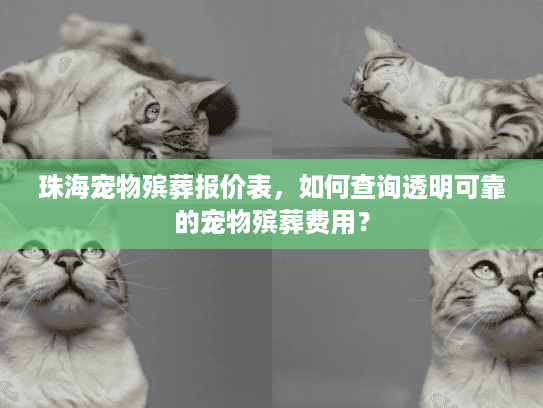 珠海宠物殡葬报价表，如何查询透明可靠的宠物殡葬费用？