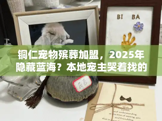 铜仁宠物殡葬加盟，2025年隐藏蓝海？本地宠主哭着找的服务，你能做吗？