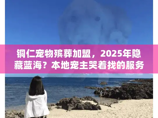 铜仁宠物殡葬加盟，2025年隐藏蓝海？本地宠主哭着找的服务，你能做吗？
