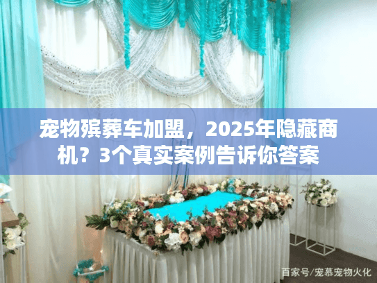 宠物殡葬车加盟，2025年隐藏商机？3个真实案例告诉你答案