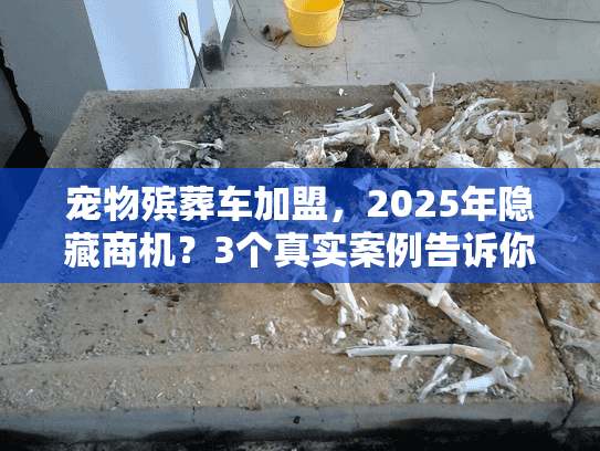 宠物殡葬车加盟，2025年隐藏商机？3个真实案例告诉你答案