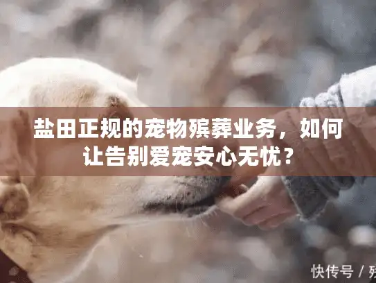 盐田正规的宠物殡葬业务，如何让告别爱宠安心无忧？