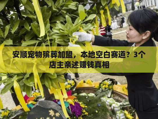 安顺宠物殡葬加盟，本地空白赛道？3个店主亲述赚钱真相