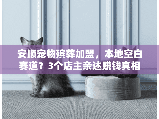 安顺宠物殡葬加盟，本地空白赛道？3个店主亲述赚钱真相