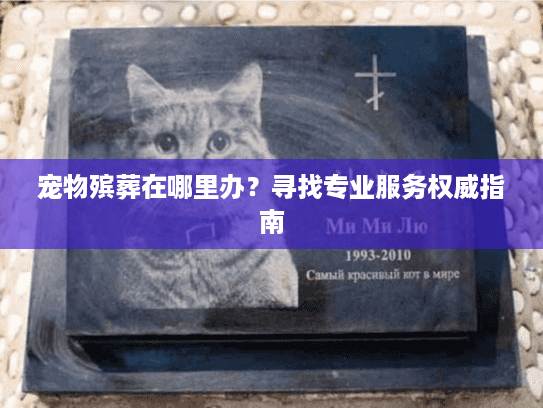宠物殡葬在哪里办？寻找专业服务权威指南
