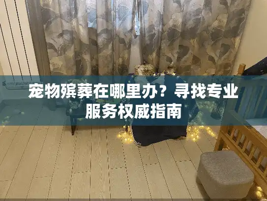 宠物殡葬在哪里办？寻找专业服务权威指南