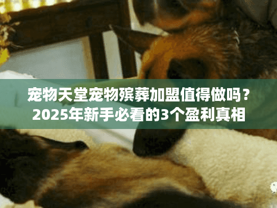 宠物天堂宠物殡葬加盟值得做吗？2025年新手必看的3个盈利真相