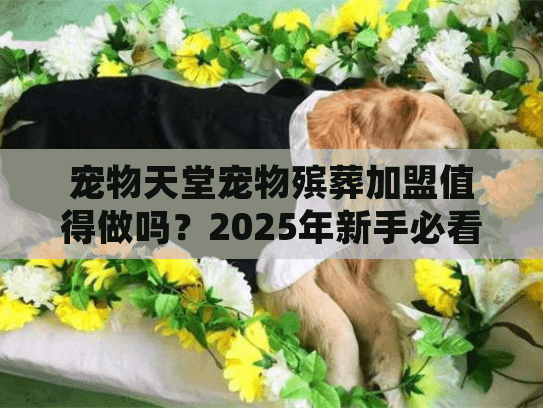 宠物天堂宠物殡葬加盟值得做吗？2025年新手必看的3个盈利真相