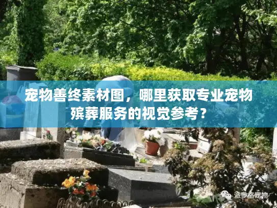 宠物善终素材图,哪里获取专业宠物殡葬服务的视觉参考? 宠物善终素材图,哪里获取专业宠物殡葬服务的视觉参考?