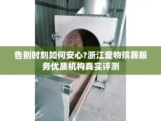 告别时刻如何安心?浙江宠物殡葬服务优质机构真实评测