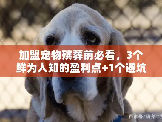 加盟宠物殡葬前必看，3个鲜为人知的盈利点+1个避坑指南，新手也能入局？