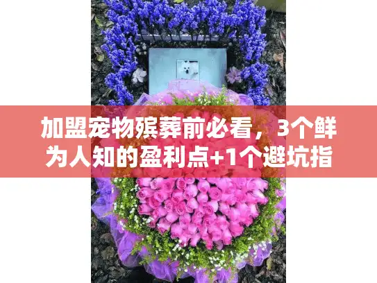加盟宠物殡葬前必看，3个鲜为人知的盈利点+1个避坑指南，新手也能入局？