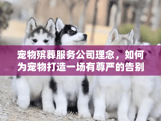 宠物殡葬服务公司理念，如何为宠物打造一场有尊严的告别仪式？