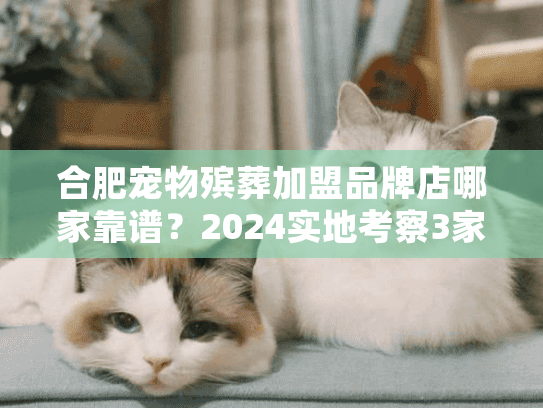 合肥宠物殡葬加盟品牌店哪家靠谱？2024实地考察3家优质品牌揭秘