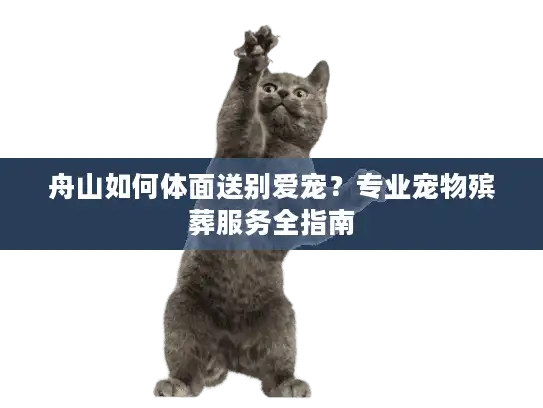 舟山如何体面送别爱宠?专业宠物殡葬服务全指南 舟山如何体面送别爱宠?专业宠物殡葬服务全指南