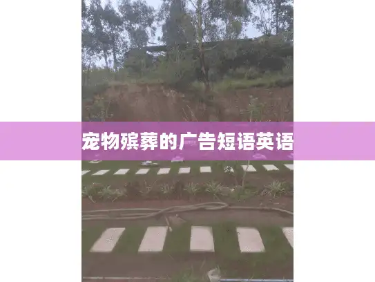 宠物殡葬的广告短语英语 宠物殡葬的广告短语英语